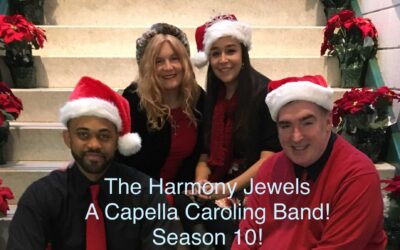 Harmony Jewels Season 10- Our Journey!