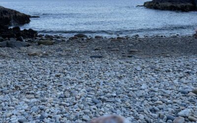 Vocal Sabbath: A Chance to Rejuvenate both Voice and Spirit